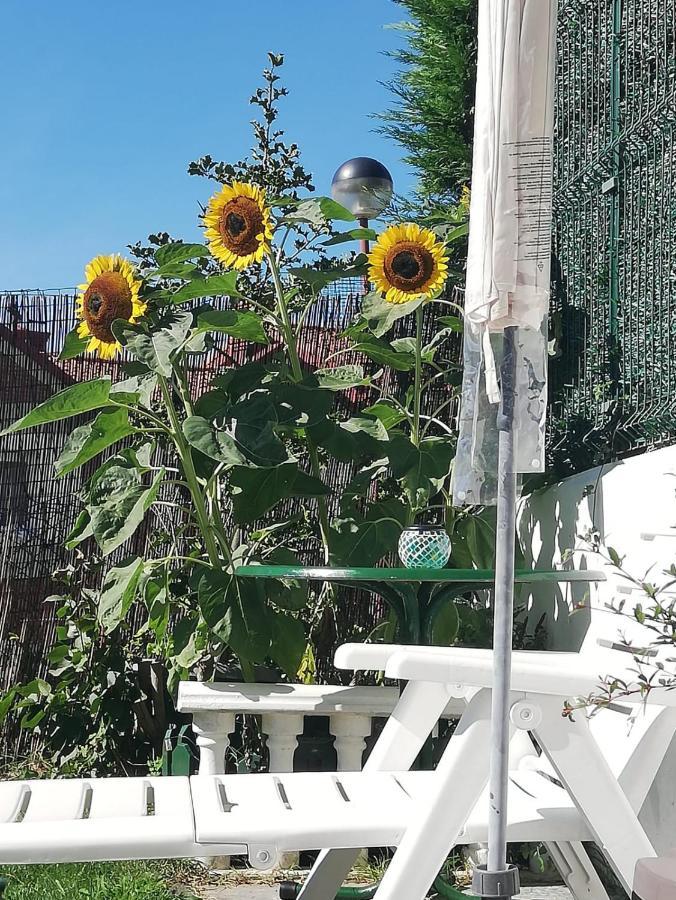 Apartamento Duplex Con Vistas Al Mar Los Girasoles モグロ エクステリア 写真